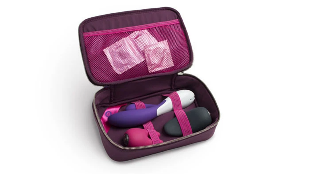 Sex toy travel case
